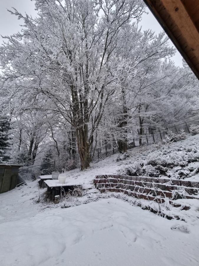 Ferienwohnung Schneeberg Stryck Экстерьер фото